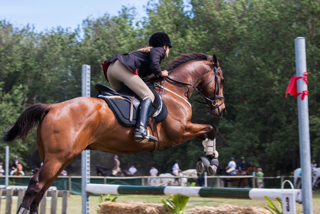 Equitation : un des sports les plus pratiqués en france